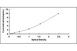 Typical standard curve (RORA ELISA Kit)