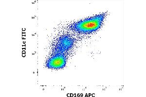 Flow cytometry multicolor surface staining of human TNF-α and INF-γ stimulated peripheral blood mononuclear cells stained using anti-human CD169 (7-239) APC antibody (10 μL reagent per milion cells in 100 μL of cell suspension) and anti-human CD11c (BU15) FITC antibody (20 μL reagent / 100 μL of peripheral whole blood).