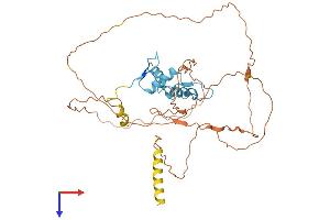 KLF12 Protein (AA 1-402) (His tag)