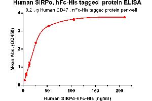 ELISA image for Signal-Regulatory Protein alpha (SIRPA) (AA 31-373) protein (Fc-His Tag) (ABIN6961082)