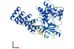 Protein Structure (PS) image for Integrin-Linked Kinase (ILK) (AA 1-452) protein (His tag) (ABIN7562498)