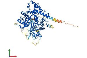 Protein Structure (PS) image for Inositol 1,3,4,5,6-Pentakisphosphate 2-Kinase (IPPK) (AA 1-489) protein (His tag) (ABIN7557981)