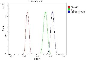 Flow Cytometry analysis of A431 cells using anti-USP44 antibody (ABIN7600640). (USP44 Antikörper  (AA 211-712))