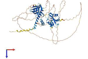 SH2B2 Protein (AA 1-632) (His tag)