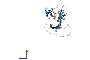 Protein Structure (PS) image for DIX Domain Containing 1 (DIXDC1) (AA 1-683) protein (His tag) (ABIN7547042)