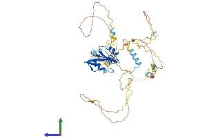 Protein Structure (PS) image for Src Homology 2 Domain Containing Adaptor Protein B (SHB) (AA 1-509) protein (His tag) (ABIN7555441)