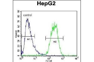 SEC13 Antibody (Center) (ABIN654695 and ABIN2844387) flow cytometric analysis of HepG2 cells (right histogram) compared to a negative control cell (left histogram).