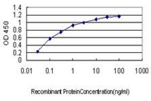 Detection limit for recombinant GST tagged GPR84 is approximately 0. (GPR84 Antikörper  (AA 208-316))