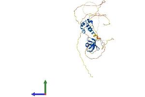 AlphaFold protein structure predicition of Mouse Recombinant Samsn1 Protein, UniprotID P57725