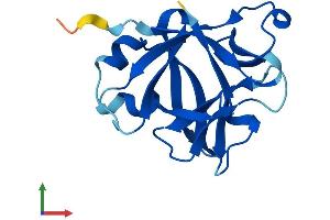Protein Structure (PS) image for Interleukin 1 Family, Member 10 (Theta) (IL1F10) (AA 1-152) protein (His tag) (ABIN7548512)