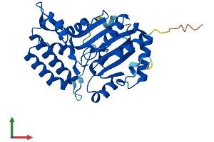 Protein Structure (PS) image for 5'-Nucleotidase, Cytosolic III-Like (NT5C3L) (AA 1-300) protein (His tag) (ABIN7557182)