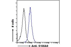 ABIN335161 Flow cytometric analysis of paraformaldehyde fixed MCF7 cells (blue line), permeabilized with 0.