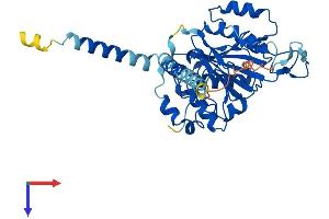 B4GALT6 Protein (AA 1-382) (His tag)