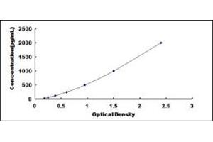 Neurotrophin 4 ELISA Kit