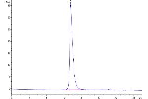 Size-exclusion chromatography-High Pressure Liquid Chromatography (SEC-HPLC) image for Poliovirus Receptor-Related 2 (Herpesvirus Entry Mediator B) (PVRL2) (AA 32-360) protein (His-Avi Tag,Biotin) (ABIN7275310)