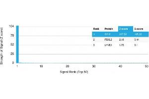 Analysis of Protein Array containing more than 19,000 full-length human proteins using GP2 Mouse Monoclonal Antibody (GP2/1805) Z- and S- Score: The Z-score represents the strength of a signal that a monoclonal antibody (Monoclonal Antibody) (in combination with a fluorescently-tagged anti-IgG secondary antibody) produces when binding to a particular protein on the HuProtTM array.