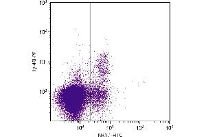 C57BL/6 mouse splenocytes were stained with Mouse Anti-Mouse Ly-49I-PE. (LY-49I (LY-49I) Antikörper (Biotin))