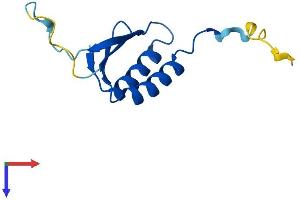 SRP14 Protein (AA 1-110) (His tag)