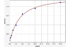 HSF1 ELISA Kit