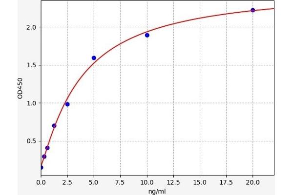 HSF1 ELISA Kit