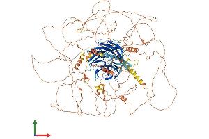 Protein Structure (PS) image for Autophagy/beclin-1 Regulator 1 (AMBRA1) (AA 1-1300) protein (His tag) (ABIN7561910)