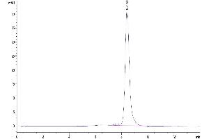 Size-exclusion chromatography-High Pressure Liquid Chromatography (SEC-HPLC) image for Calcitonin-Related Polypeptide alpha (CALCA) (AA 26-119) protein (Fc Tag) (ABIN7274020)