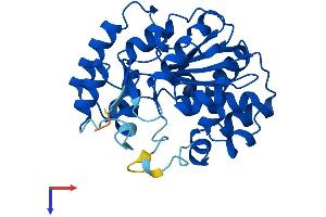 SULT2A1 Protein (AA 1-285) (His tag)
