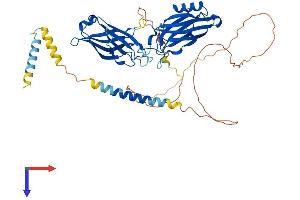 Synaptotagmin IX (SYT9) (AA 1-491) protein (His tag)