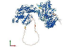 Protein Structure (PS) image for Nitric Oxide Synthase 2, Inducible (NOS2) (AA 1-1153) protein (His tag) (ABIN7554738)