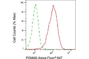 Flow cytometric analysis of PSMA6 expression in HepG2 cells using PSMA6 antibody (ABIN7799964), 1:1,000). (PSMA6 Antikörper)