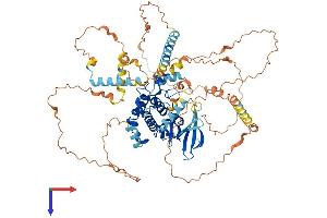NEK5 Protein (AA 1-708) (His tag)