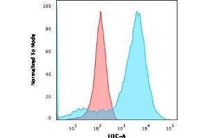 Flow Cytometric Analysis of HEK293 cells using Neurofilament Mouse Monoclonal Antibody (NR-4) followed by goat anti-Mouse IgG-CF488 (Blue); Isotype control (Red). (NEFL Antikörper)