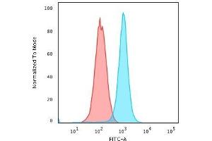 Flow Cytometric Analysis of K562 cells using Moesin Mouse Monoclonal Antibody (MSN/491) followed by Goat anti-Mouse IgG-CF488 (Blue); Isotype Control (Red). (Moesin Antikörper)