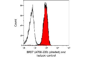 Flow Cytometry (FACS) image for anti-Bromodomain Containing 7 (BRD7) (AA 150-200) antibody (ABIN7449350) (Rekombinanter BRD7 Antikörper  (AA 150-200))