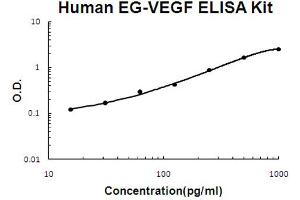 Human EG-VEGF Accusignal ELISA Kit Human EG-VEGF AccuSignal ELISA Kit standard curve.