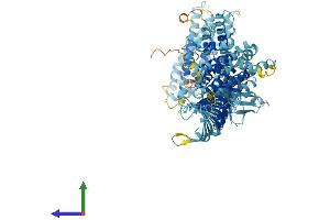 Protein Structure (PS) image for ALS2 C-terminal Like (ALS2CL) (AA 1-953) protein (His tag) (ABIN7551996)
