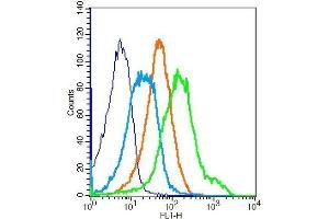 Flow Cytometry (FACS) image for anti-Insulin-Like Growth Factor 1 Receptor (IGF1R) (AA 251-350) antibody (ABIN726575)