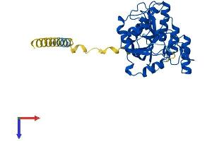 B3GALT6 Protein (AA 1-329) (His tag)