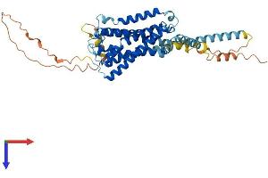HTR7 Protein (AA 1-448) (His tag)