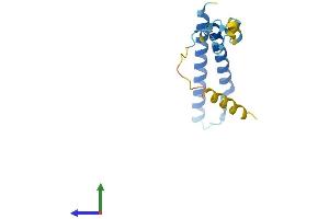 Protein Structure (PS) image for Membrane Magnesium Transporter 1 (MMGT1) (AA 1-131) protein (His tag) (ABIN7549441)