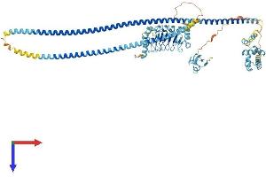 LRSAM1 Protein (AA 1-723) (His tag)