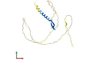AlphaFold protein structure predicition of Human Recombinant BCL7A Protein, UniprotID Q4VC05