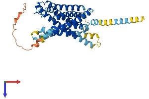 GPR87 Protein (AA 1-358) (His tag)