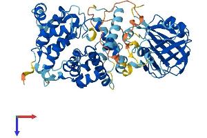 TBC1D24 Protein (AA 1-559) (His tag)