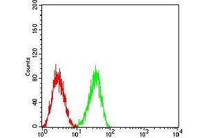 Flow cytometric analysis of HL-60 cells using CD353 mouse mAb (green) and negative control (red). (SLAMF8 Antikörper  (AA 23-233))
