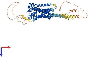 HTR2A Protein (AA 1-471) (His tag)