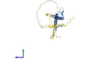 Protein Structure (PS) image for Basic Helix-Loop-Helix Family, Member E23 (BHLHE23) (AA 1-223) protein (His tag) (ABIN7558587)