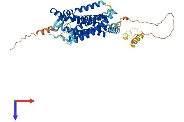 GPR151 Protein (AA 1-422) (His tag)