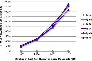 anti-lambda antibody (FITC)