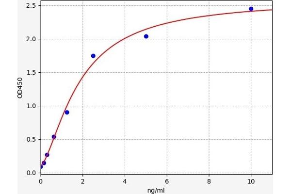 RIPK1 ELISA Kit